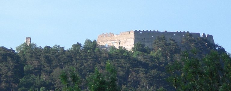 Ruine_Starhemberg.jpg