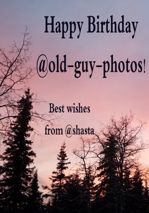 shasta2018jan30th47happybirthday8oldguyphotos5io.jpg