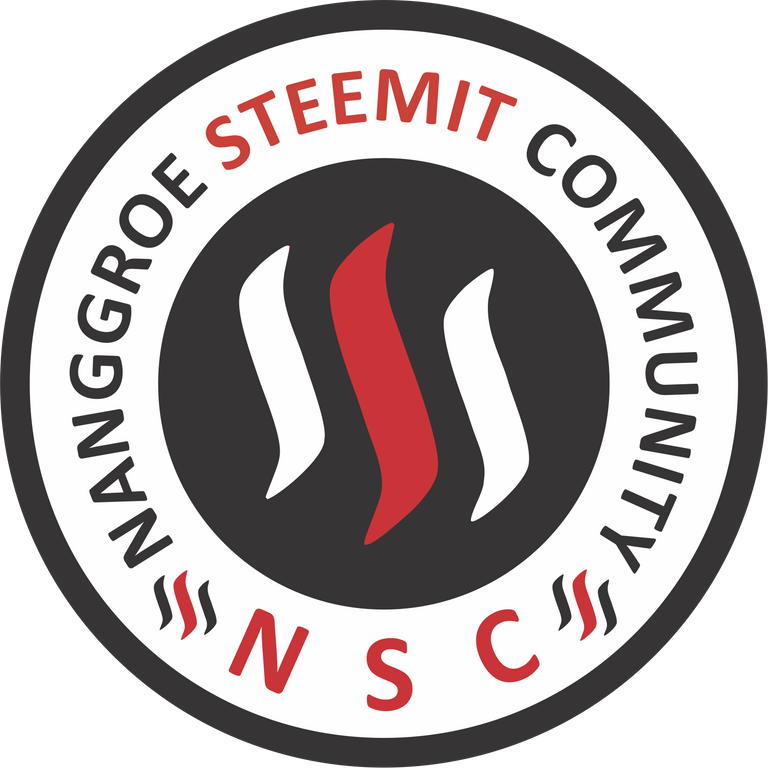 LOGO_nsc-2.png