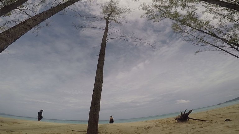 Bamboo Island 3.jpg