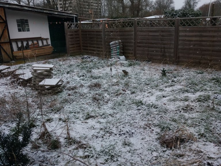 20180227_Garten_Winterimpressionen09.jpg