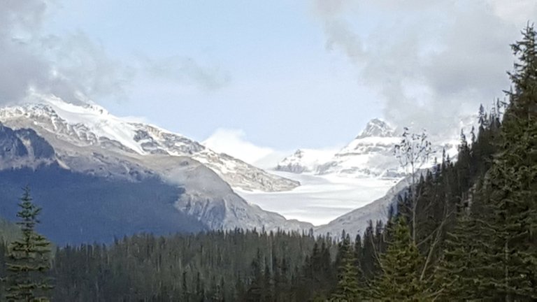 icefield.jpg