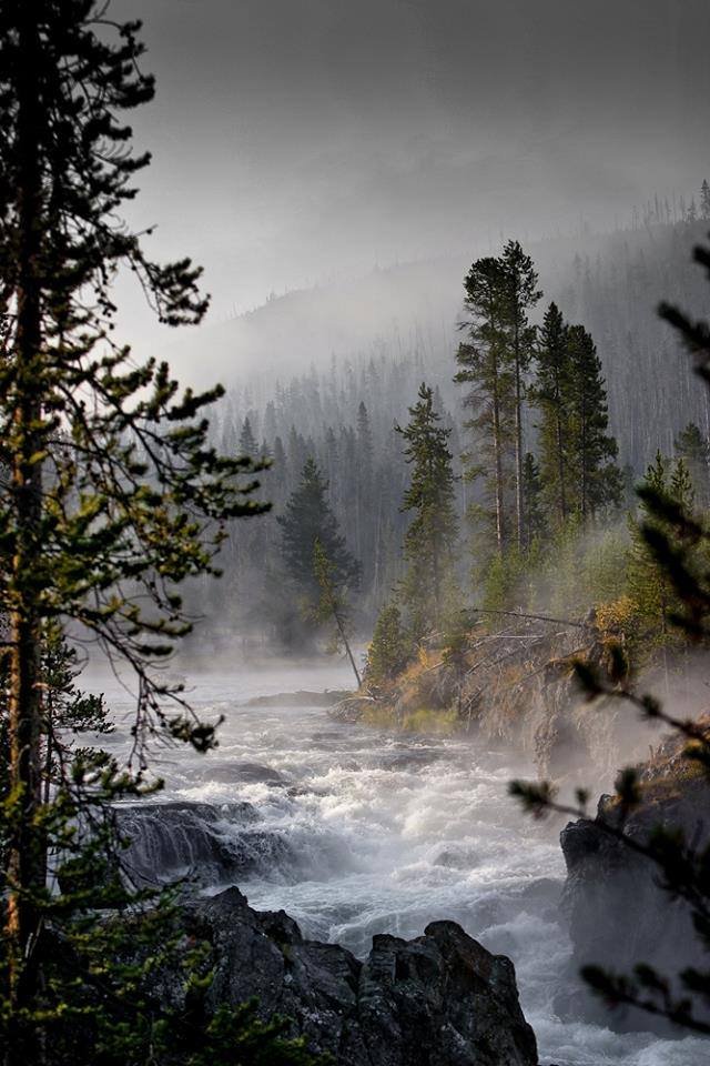 Yellowstone, SUA.jpg