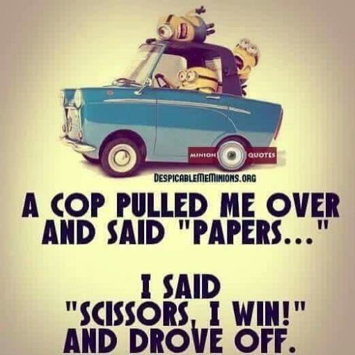 funny-minion-quotes-6.jpg