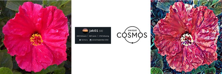 jaki-01-UniqueCosmos.png