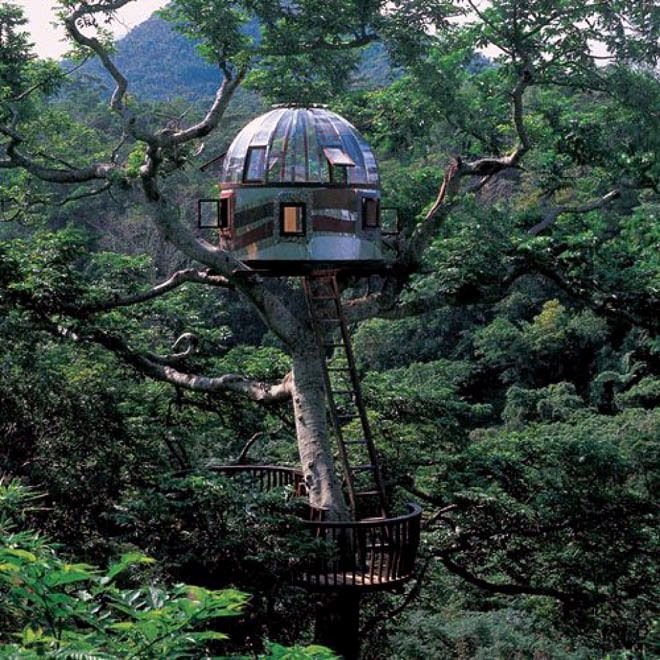 19-tree-house-modern.jpg