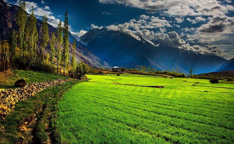 the-beautiful-gupois-valley-in-ghizer-gilgit-baltistan-pakistan.jpg