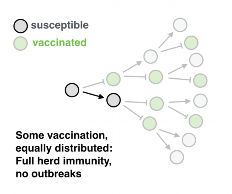 herd-immunity.png