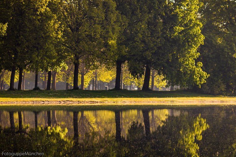 Trees Week 8 fotogruppemunich.jpeg