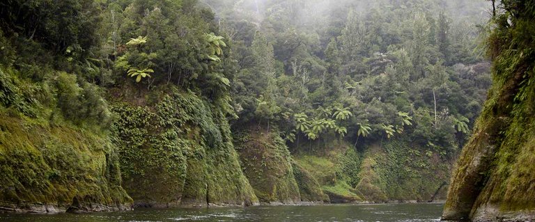 Whanganui-Stories-Pic-Template-Upper-River-02.jpg