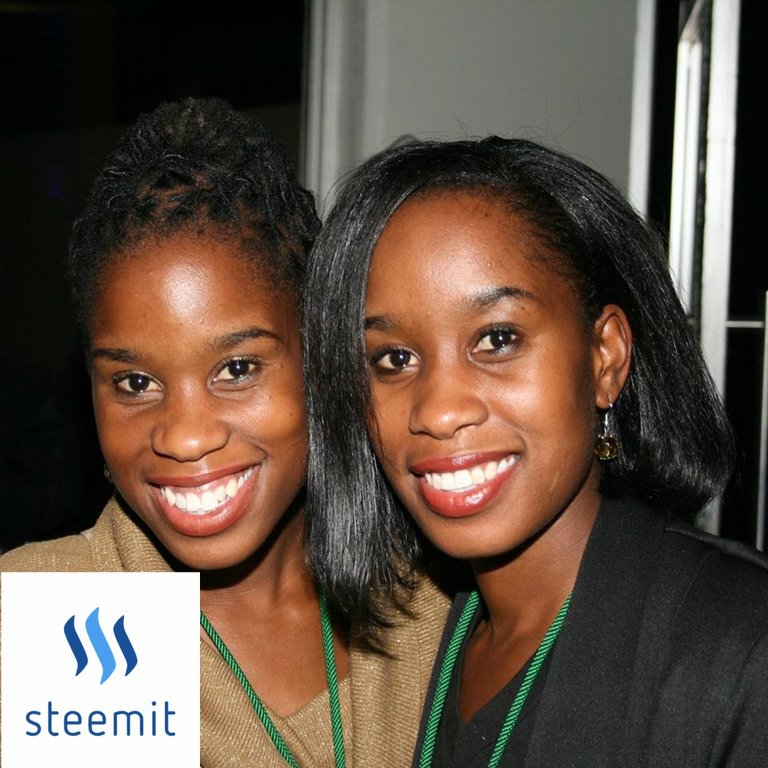 Twinnies Steem.jpg