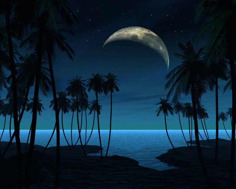 wallpaper-paradise-4.jpg