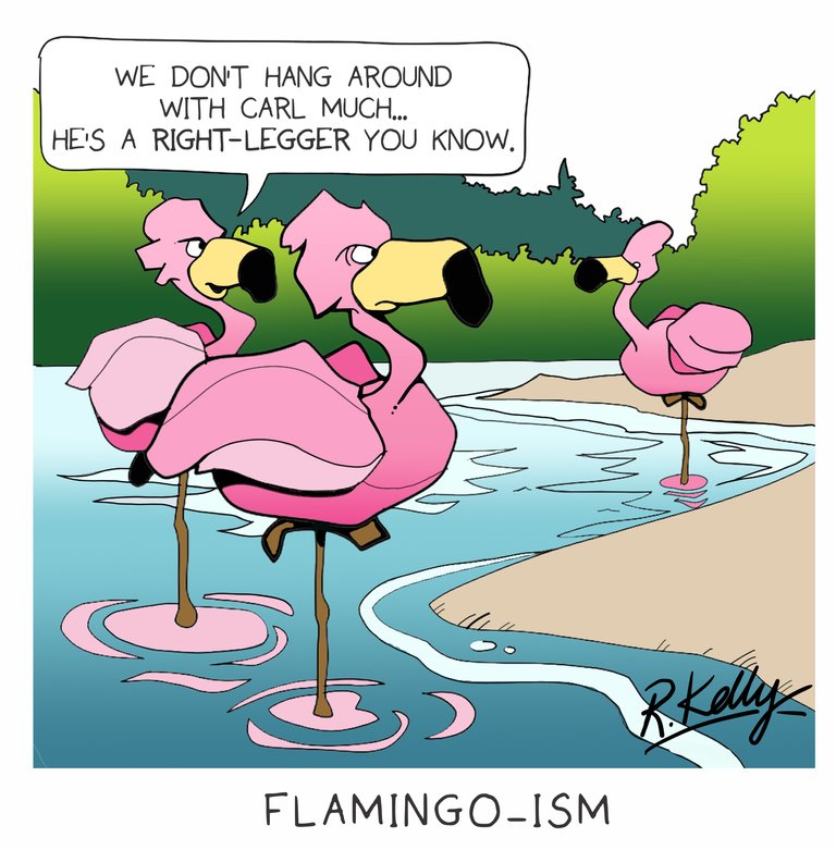 flamingo.jpg