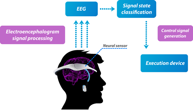 Neurogress_WP_Eng-007.png