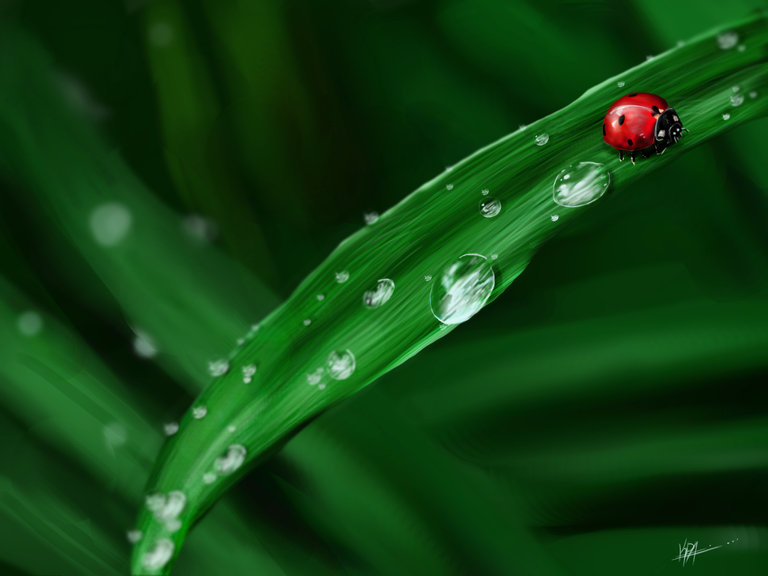 dew drops and a bug.png