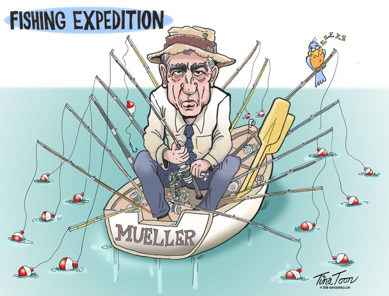 mueller fishing tina toon.jpg