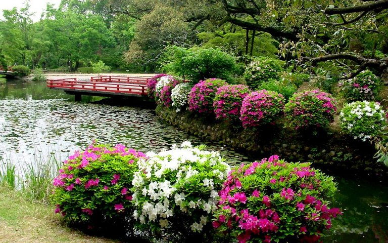 simple-flower-garden-wallpaper-3.jpg