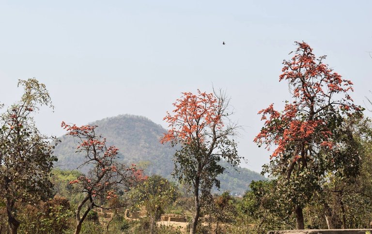 Purulia4.jpg