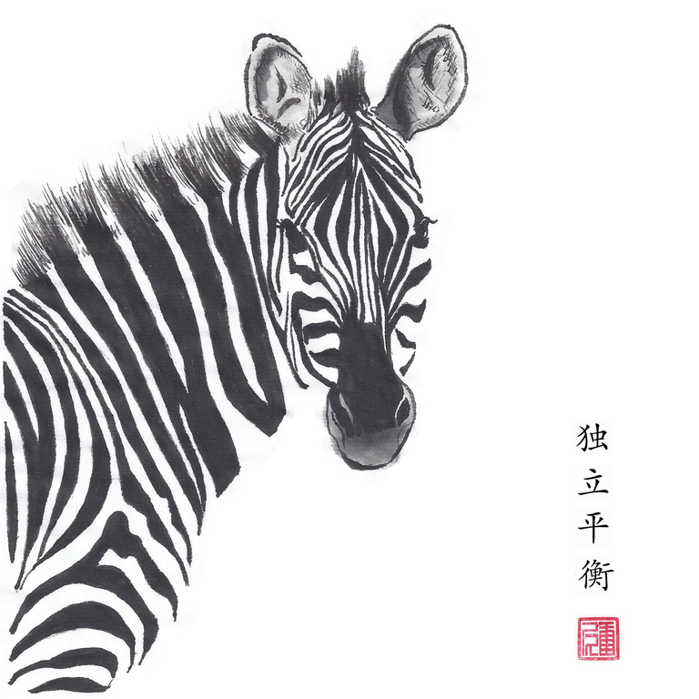 ZebraBalanceIndividuality2.png