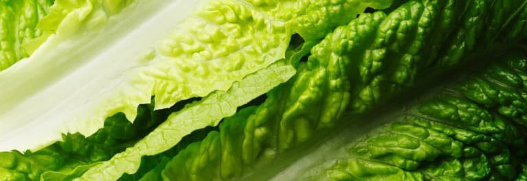 CR-Health-Hero-E-Coli-Outbreak-Romaine-Lettuce-01-18.jpeg