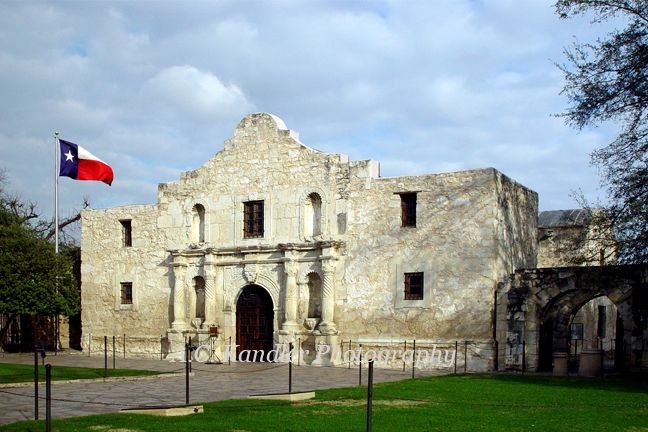 alamo.jpg