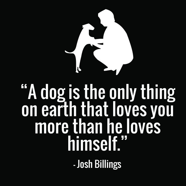 cute-dog-quotes.jpg