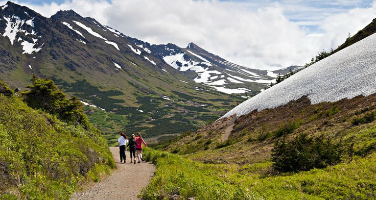 alaska-hiking-trail-narrow.jpg