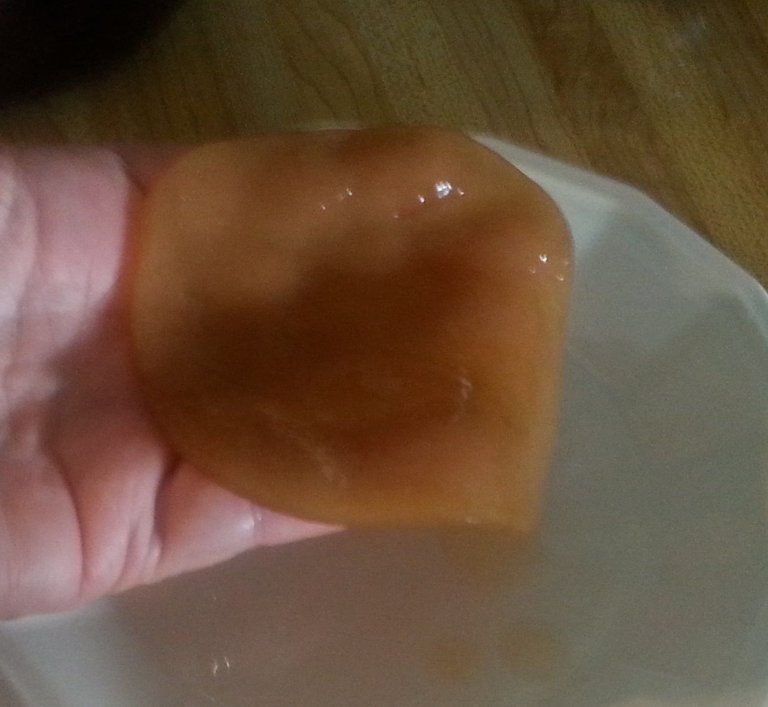 scoby.jpg