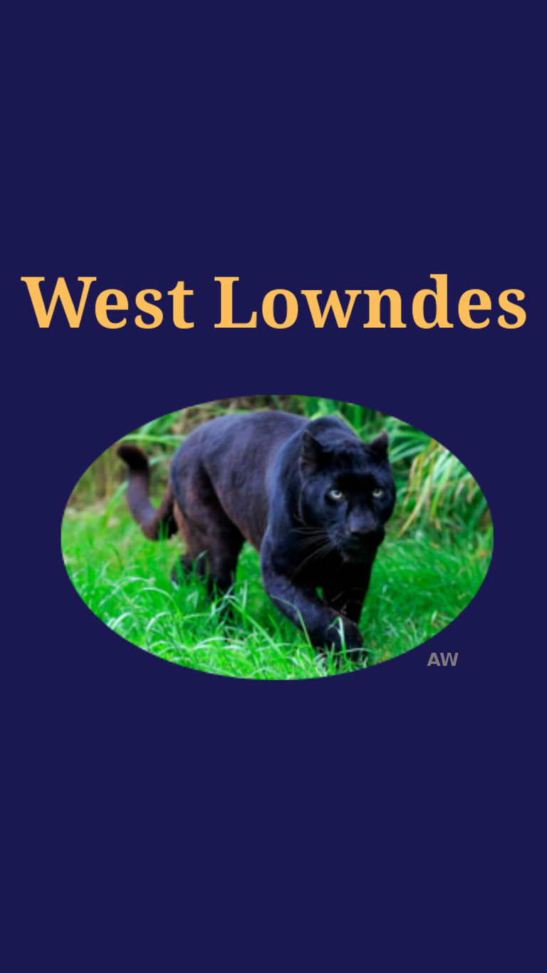 West Lowndes.png