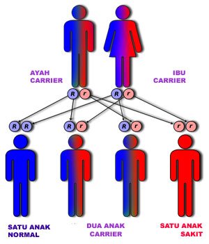 04thalasemia[geghans.blogspot.com].jpg