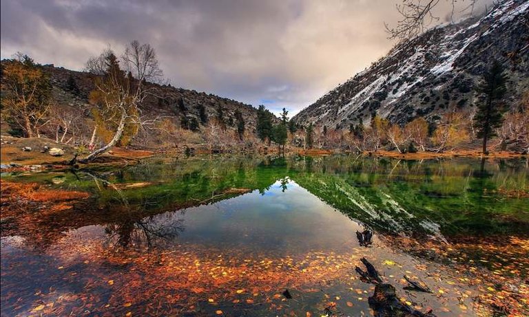 Naltar Valley.jpg