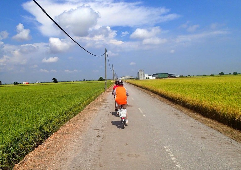 00 Cycliara At Sekinchan Padi Fields Cycling May 2014-332.jpg