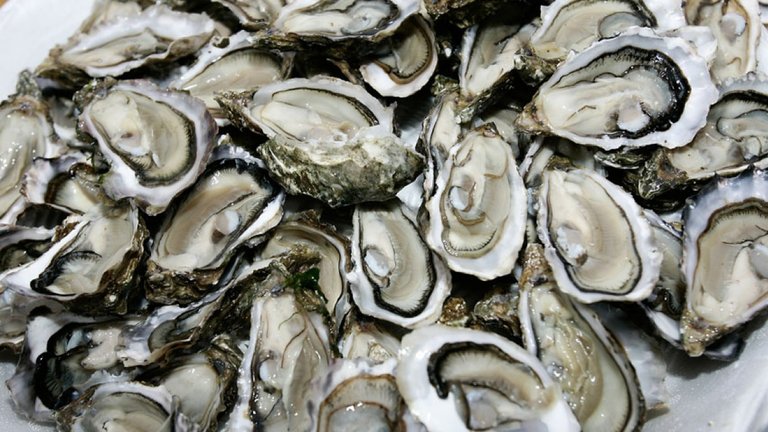 oysters.jpg