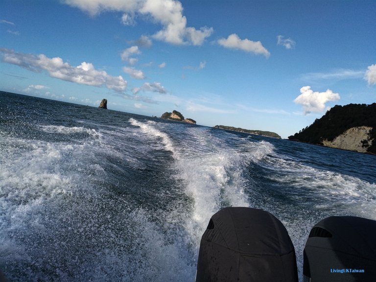 nz6_20.jpg