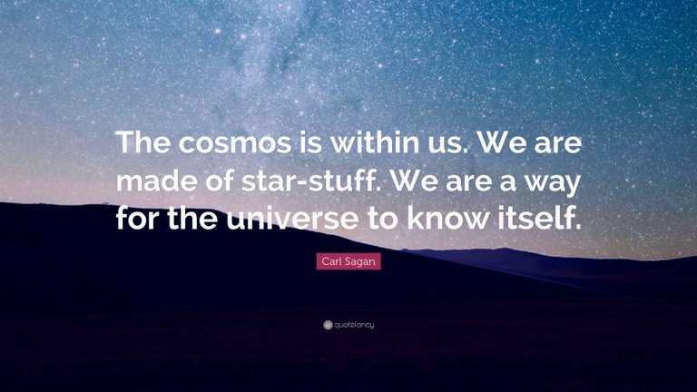 24658-Carl-Sagan-Quote-The-cosmos-is-within-us-We-are-made-of-star-stuff.jpg