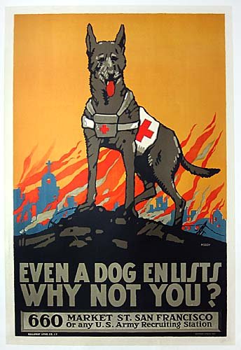 doggies enlist2.jpg