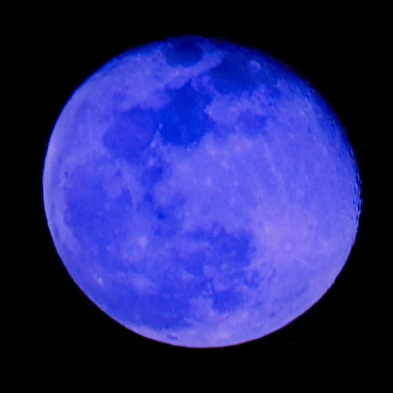DSC_5447_2.JPG