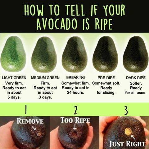 avocado.jpg