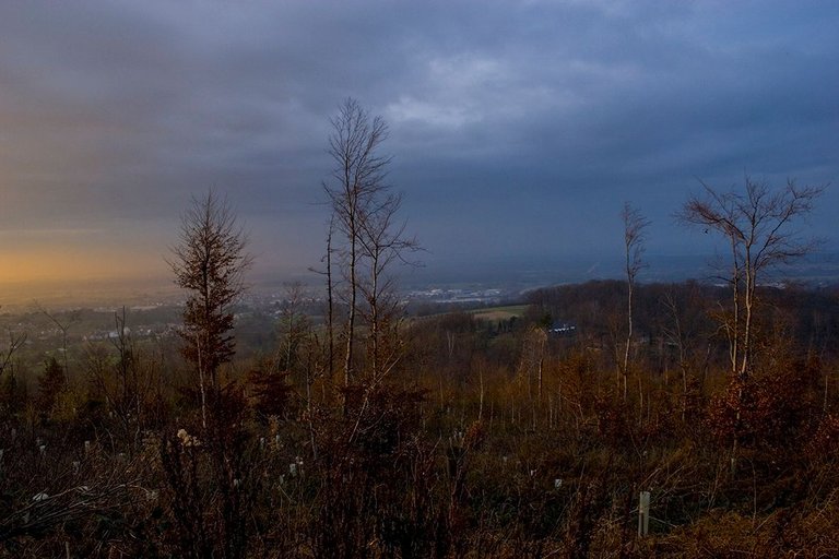 Schwarzwald_Panorama7.jpg