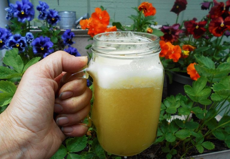 Pineapple water kefir.JPG