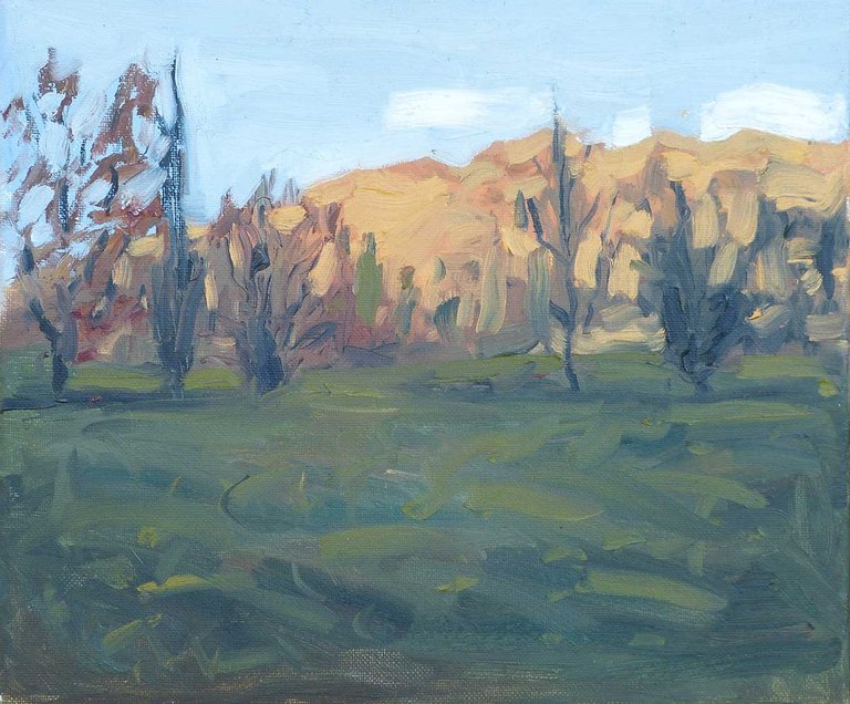 New Zealand Afternoon (Study), Oil, 10x12 Inches.jpg