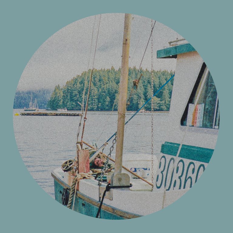 circle_tofino_23.jpg