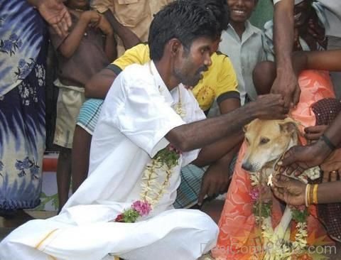 Man-Marrying-A-Dog.jpg