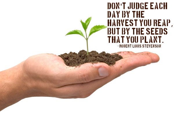 Dont-judge-each-day-by-the-harvest-you-reap-but-by-the-seeds-that-you-plant.jpg