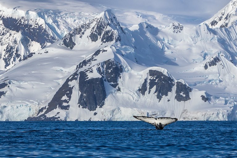 Antarktika2.jpg