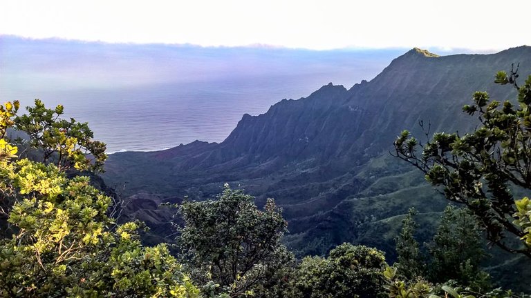 Kauai Pihea Trail Morning View.jpg