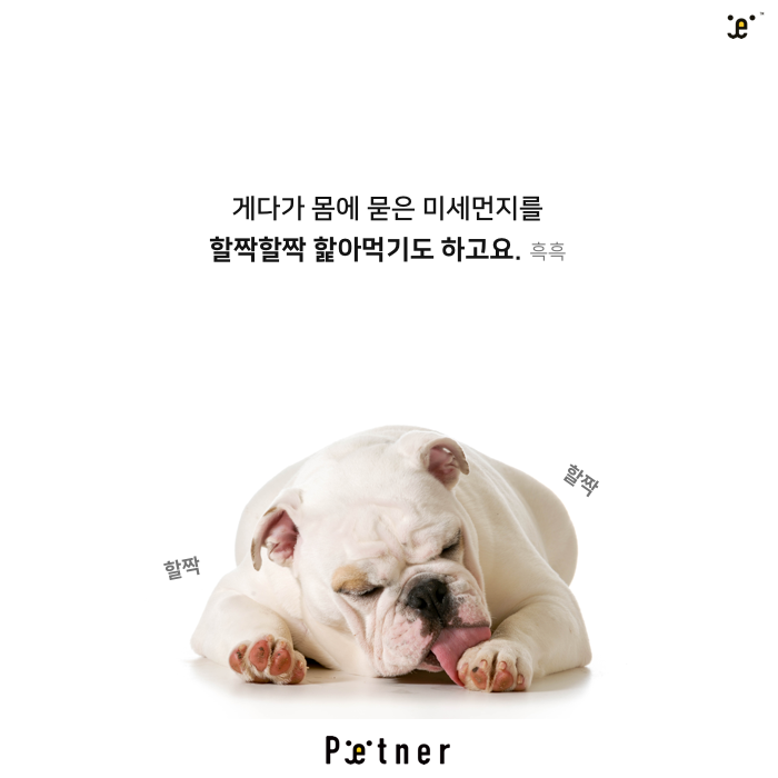 미세먼지5.png