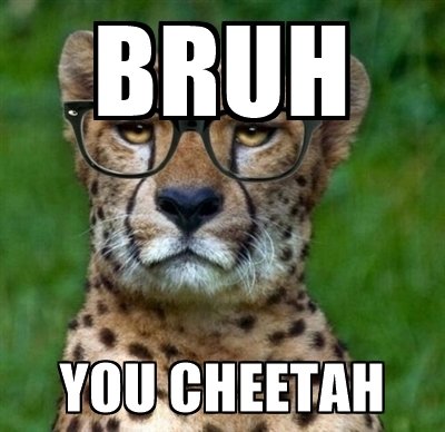 bruh-you-cheetah.jpg