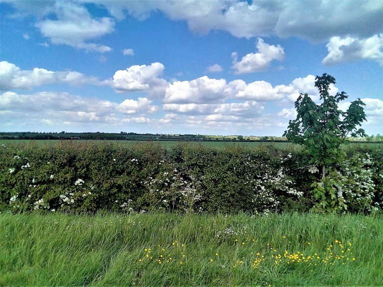 landscape fields and clouds.jpg