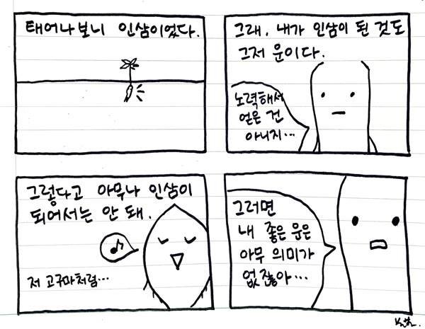 인삼밭의 고구마 (4).jpg